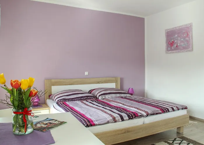 אורחן Franzosenhof